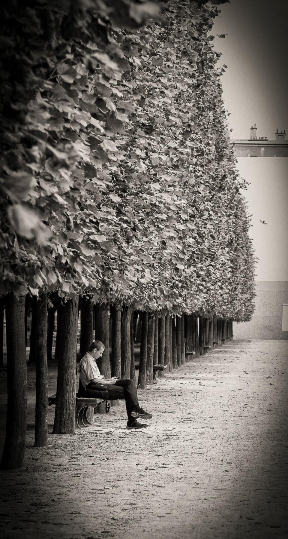 IMG_1904-2-Edit-Edit-Edit