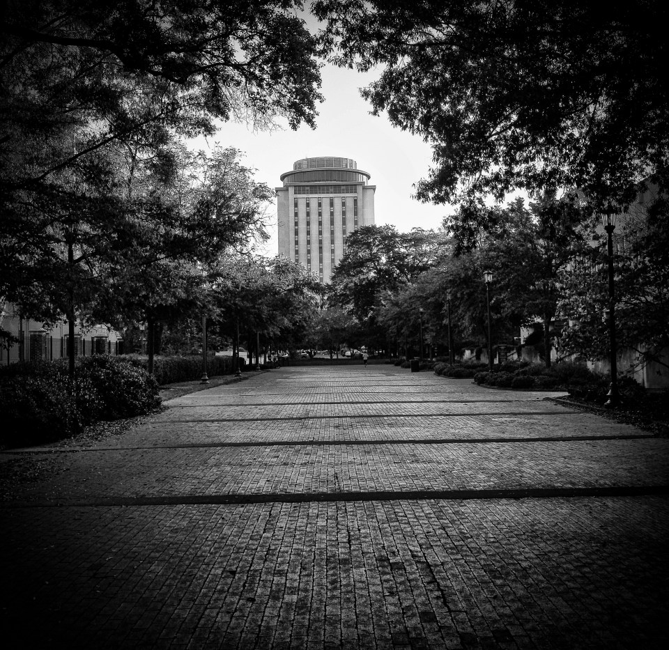 IMG_2390-Edit-Edit-Edit