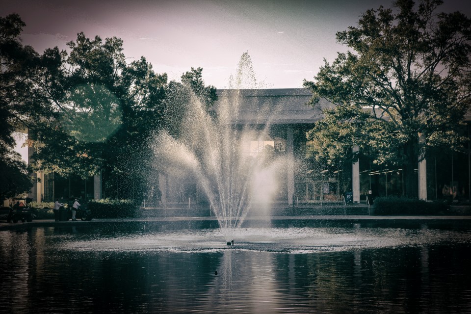 IMG_2407-Edit-Edit-Edit