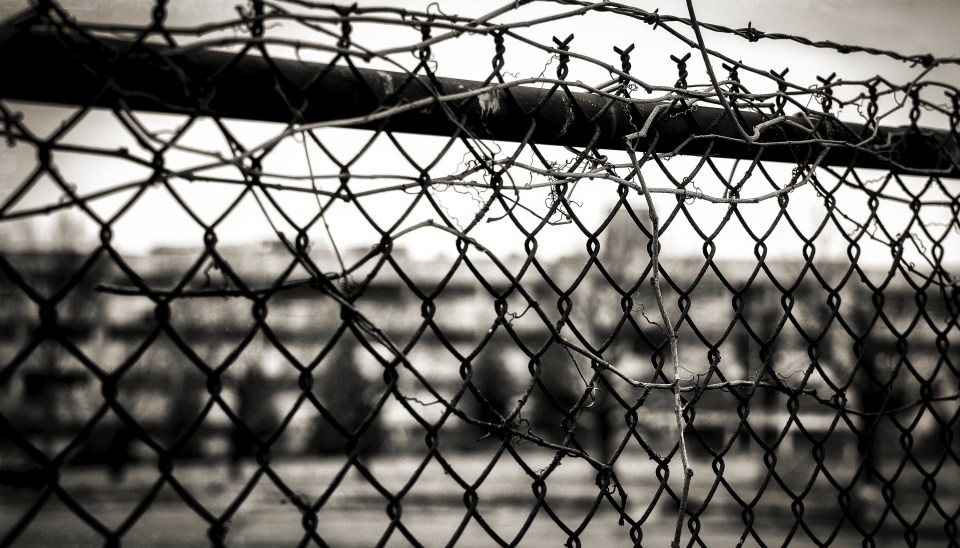 0R9A0729-Edit-Edit-Edit